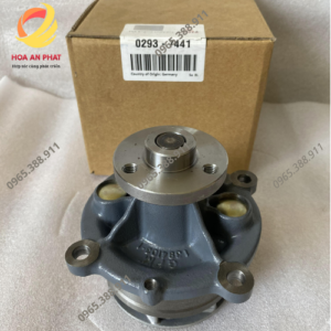 Bơm nước Deutz BFM1013
