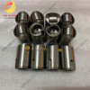 Con đội trục cam